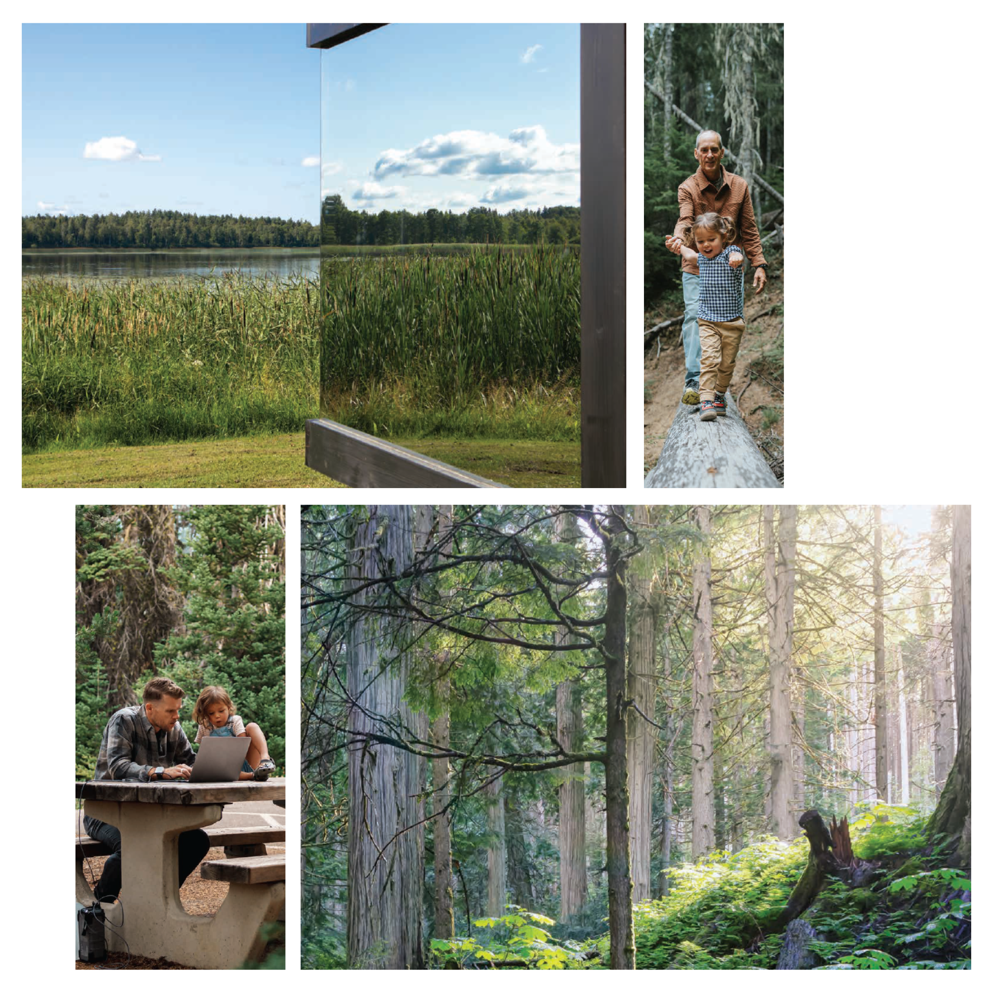 Untitled design (40)