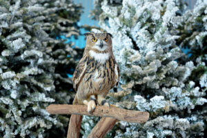 kost_photography_-138