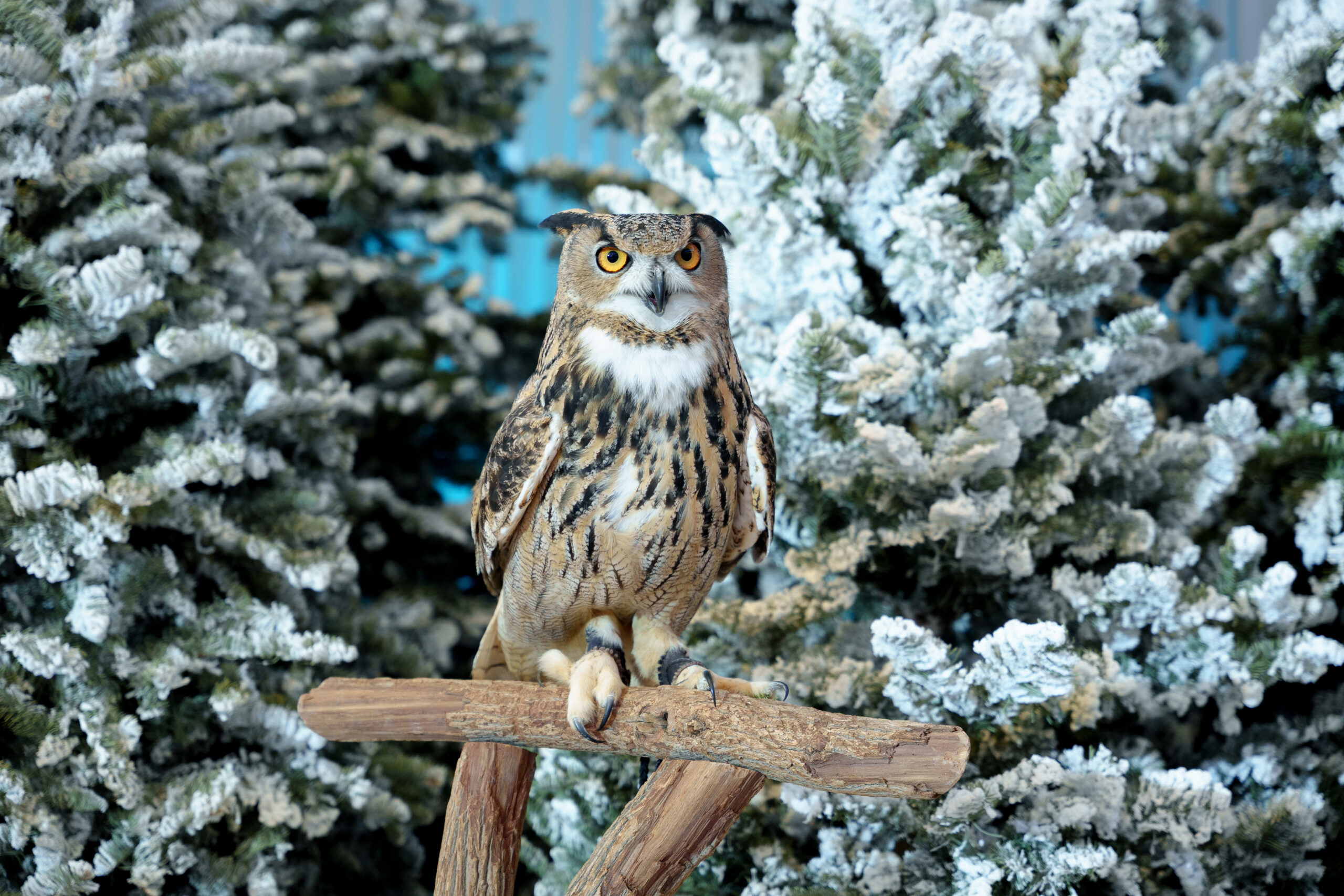 kost_photography_-138